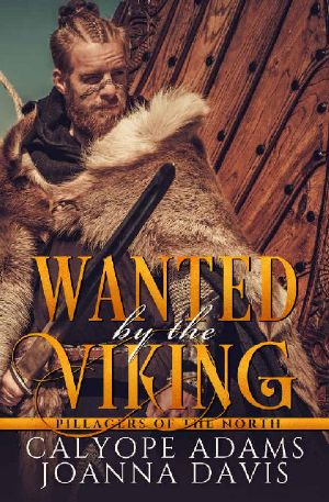 [Pillagers Of The North 02] • Wanted By The Viking
